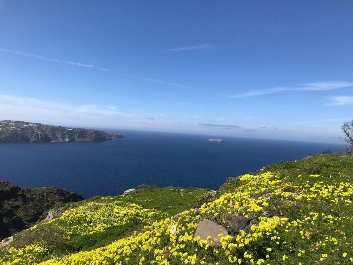 Caldera Sunset Villa Megalochori  Dış mekan fotoğraf