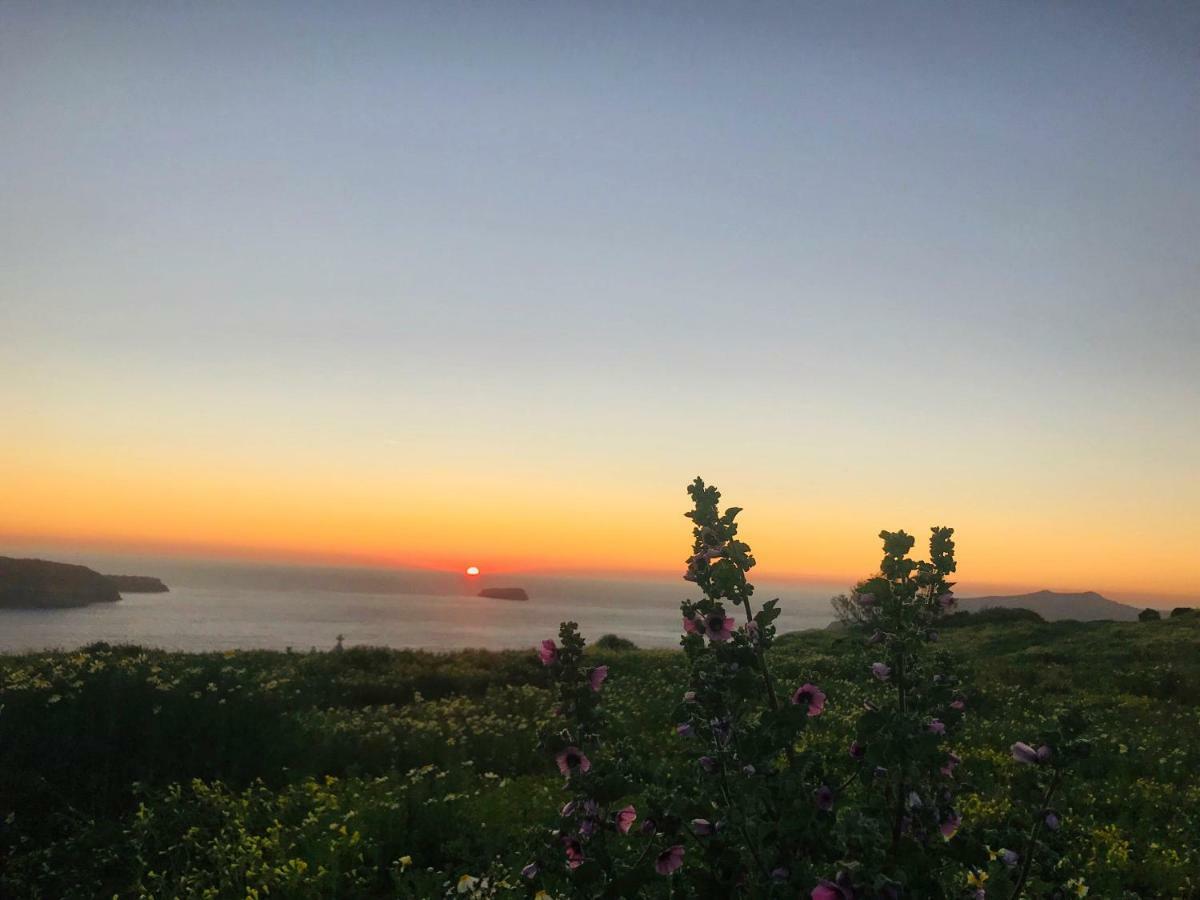 Caldera Sunset Villa Megalochori  Dış mekan fotoğraf